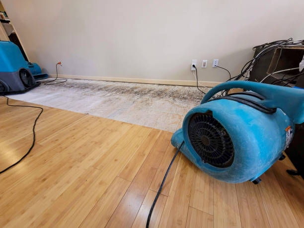 Professional Water Removal technician working in Outlook, WA